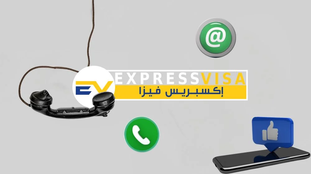 اتصل بنا